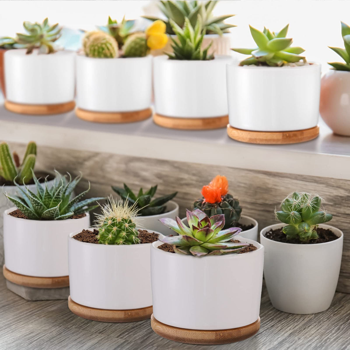 Cindeer ceramic pot displayed indoors on shelf with tray
