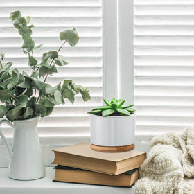 Cindeer ceramic pot suitable for outdoor display and weather exposure