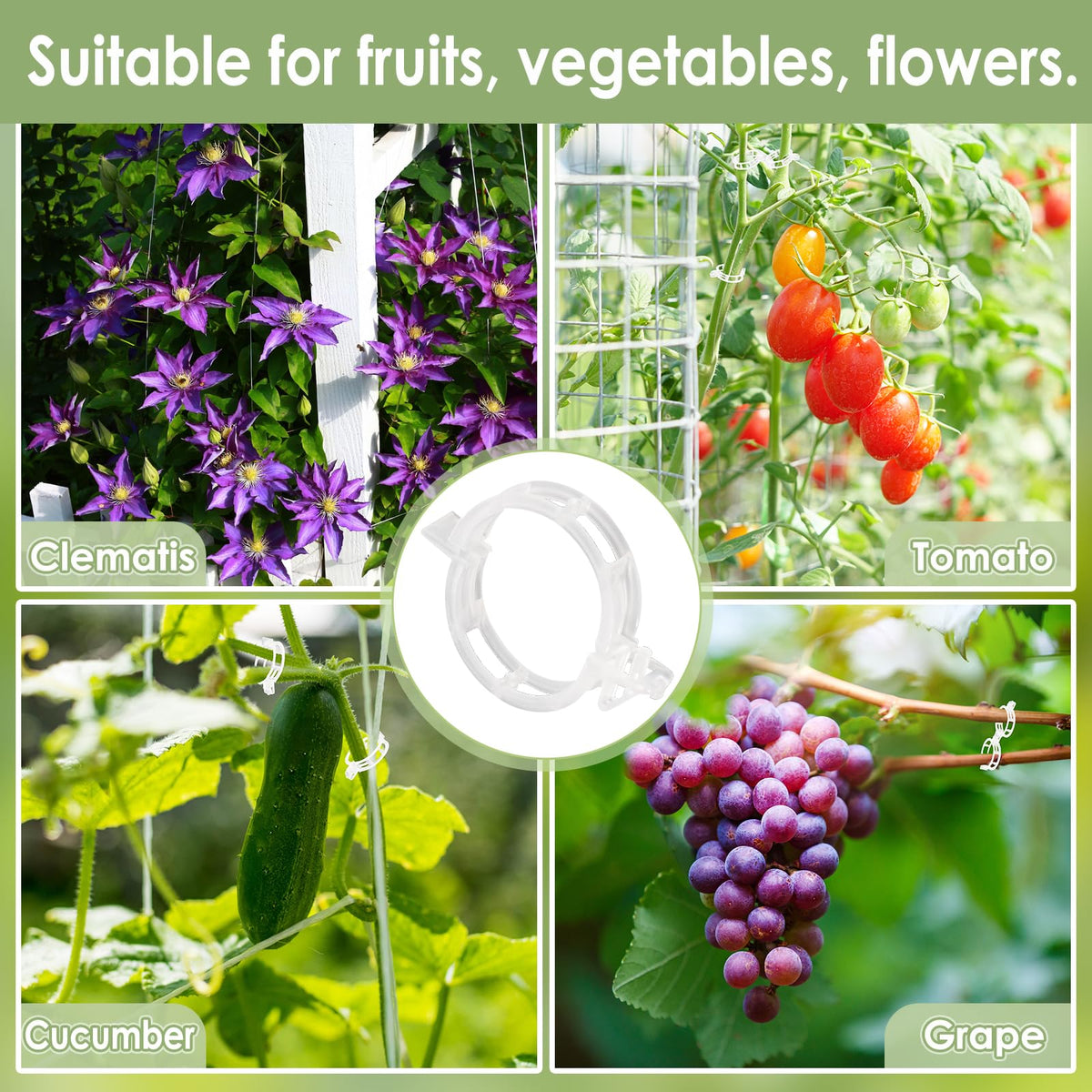 CINKSY vertical gardening setup shows multiple vines secured