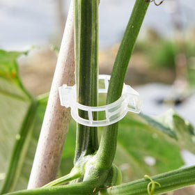 CIQIYO climbing-flower-clip gentle grip protects delicate stems while guiding growth.