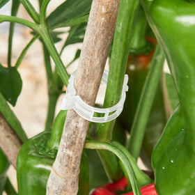 CIQIYO secure-plant-stem-clip reliable hold during growth periods.
