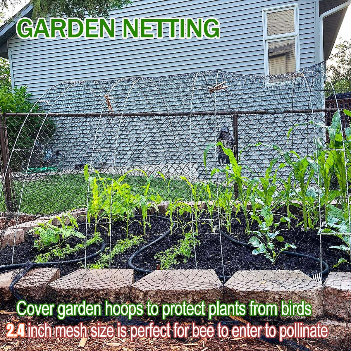 CITOOTY garden netting shielding fruit trees and berries from birds.