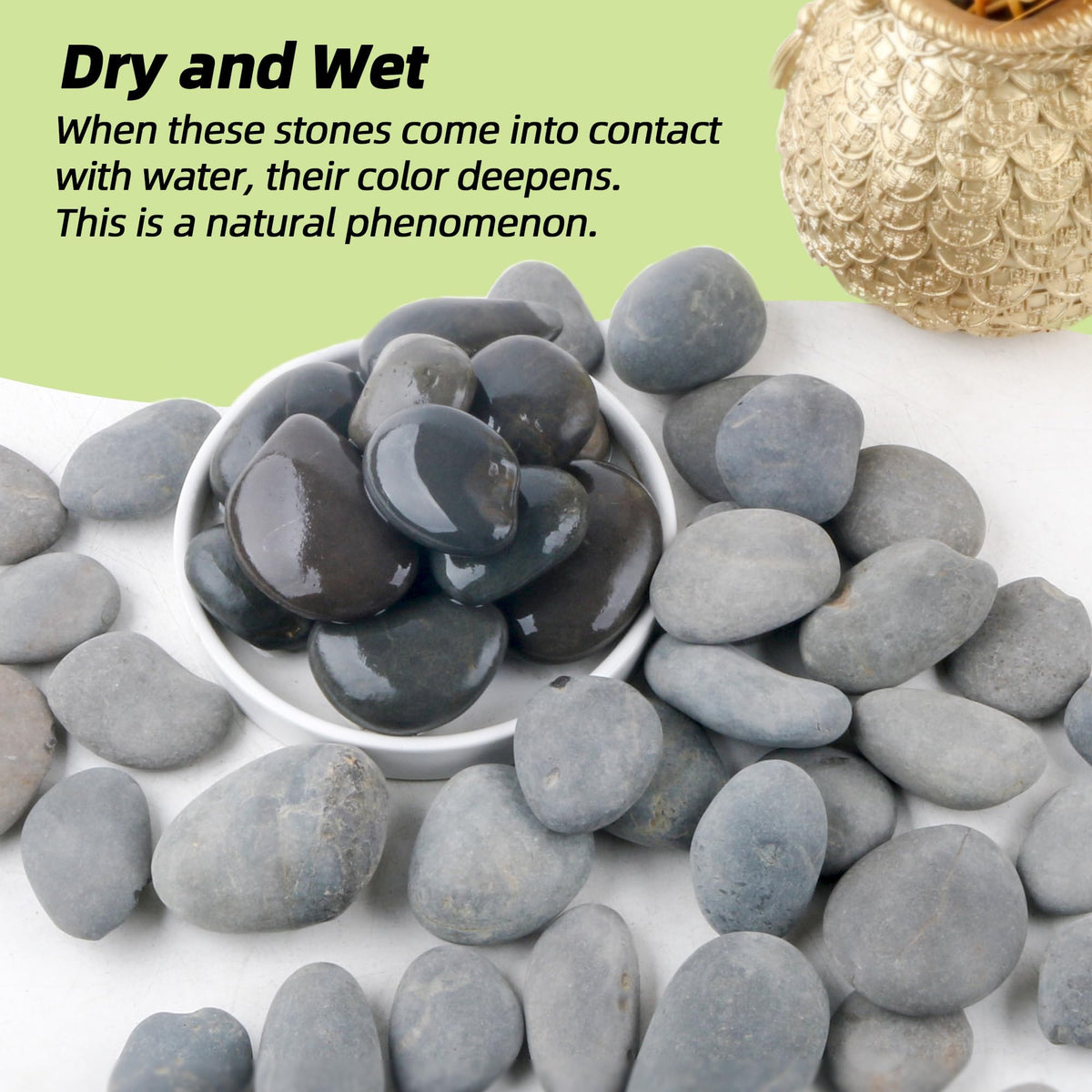 CJGQ 18lb river rocks enhance succulent containers with color contrast.