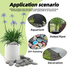 CJGQ 18lb river rocks decorate a terrarium with a sleek natural vibe.