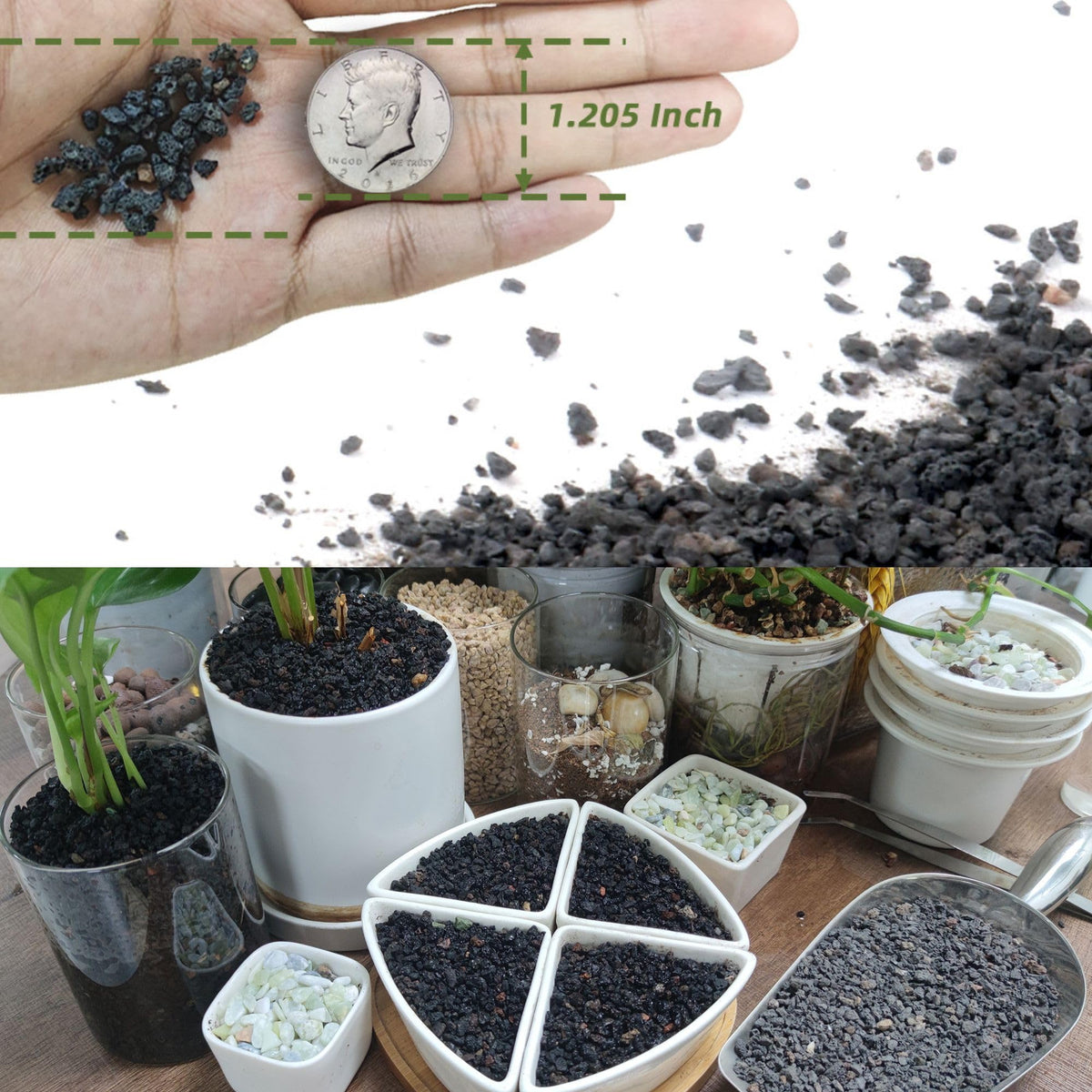 CJGQ lava rocks enhance bonsai styling with rugged texture.