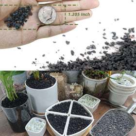 CJGQ lava rocks enhance bonsai styling with rugged texture.