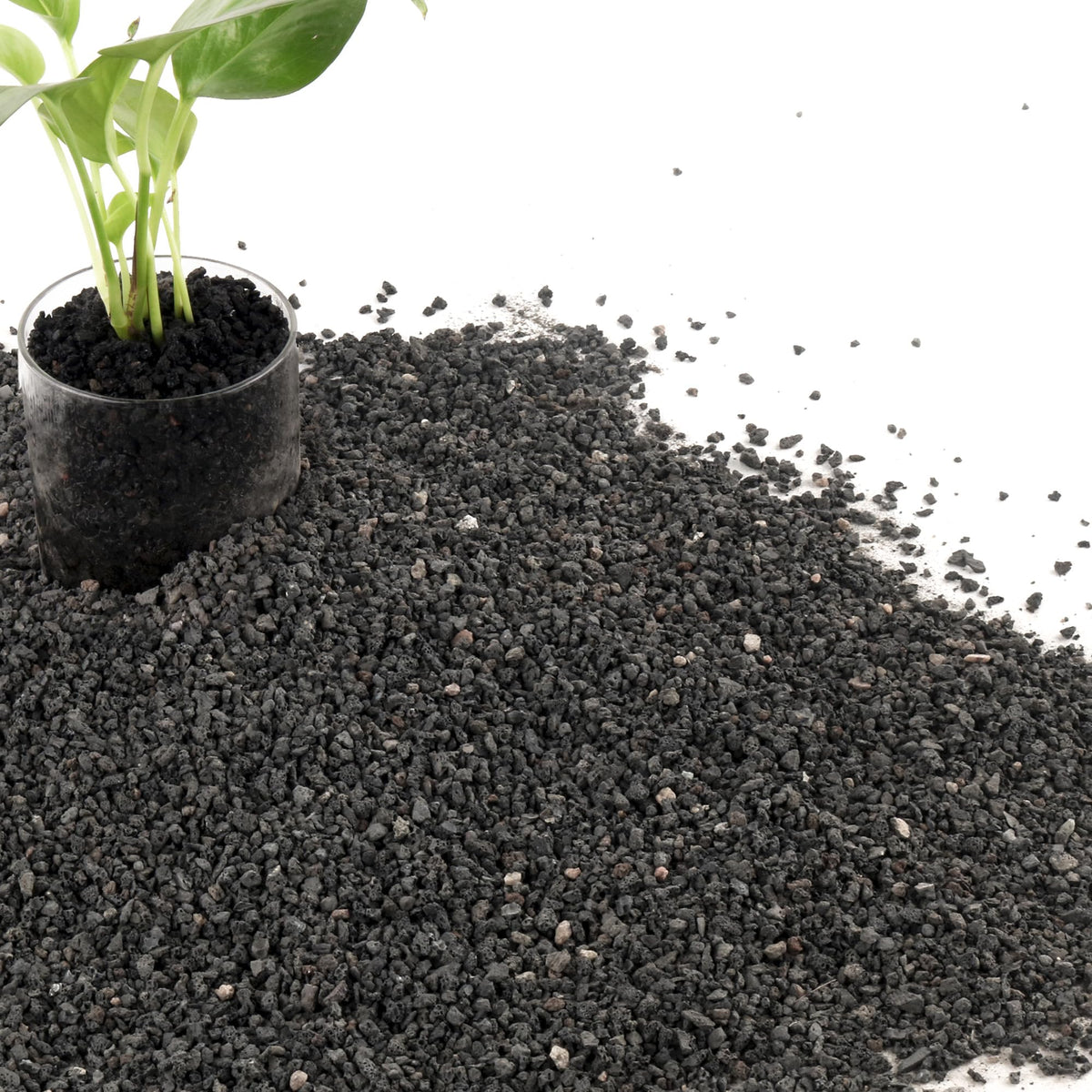 CJGQ 7LB lava rocks improve drainage and aeration for potted plants.