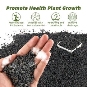 CJGQ lava rocks provide porous drainage at planter bottoms for healthier roots.