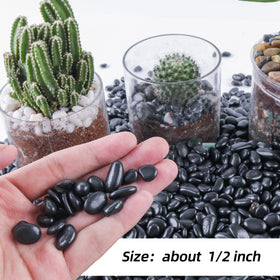 CJGQ small pebbles for succulents, adds natural texture