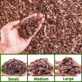 CJGQ bark voids promote orchid root development through improved aeration.