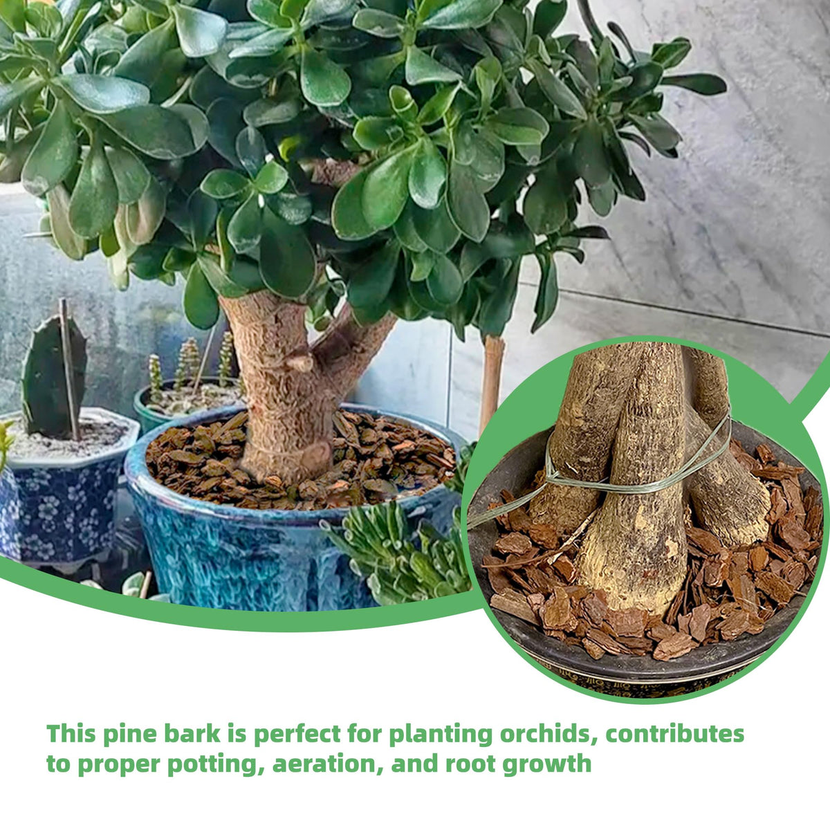 CJGQ bark mulch provides air-filled voids to support roots.
