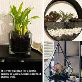 CJGQ polished river rocks suit bonsai and succulents