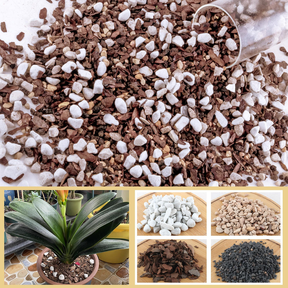 CJGQ bonsai soil mix bag front showing brand and ingredients
