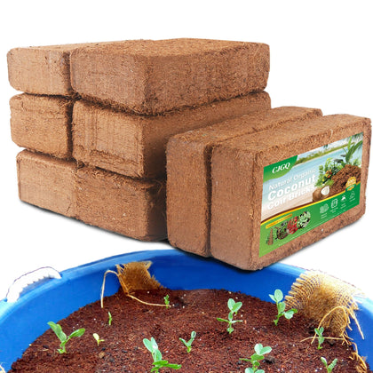 CJGQ coco coir brick 8pack ready to expand for planting