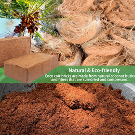 CJGQ coco coir brick soaking shows expansion potential for planting