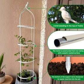 CJGQ white trellis with bird-top decor enhances outdoor garden aesthetics while guiding vines