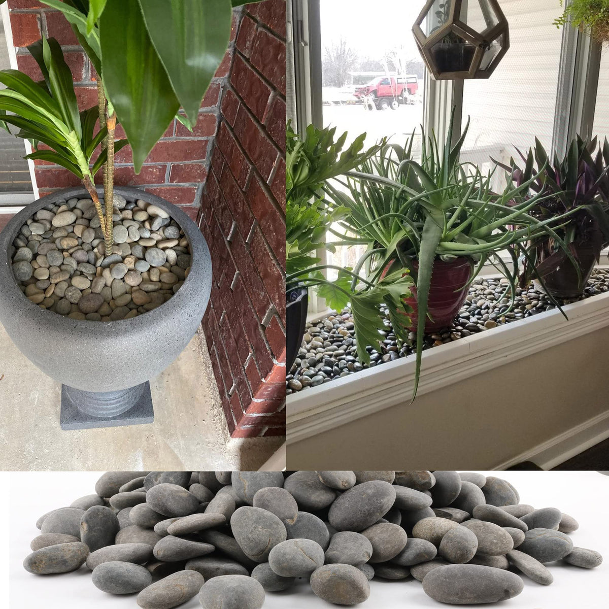 CJGQ grey river rocks smooth surface ideal for terrariums and displays.