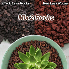 CJGQ lava rocks provide a porous surface to aid drainage and moisture management