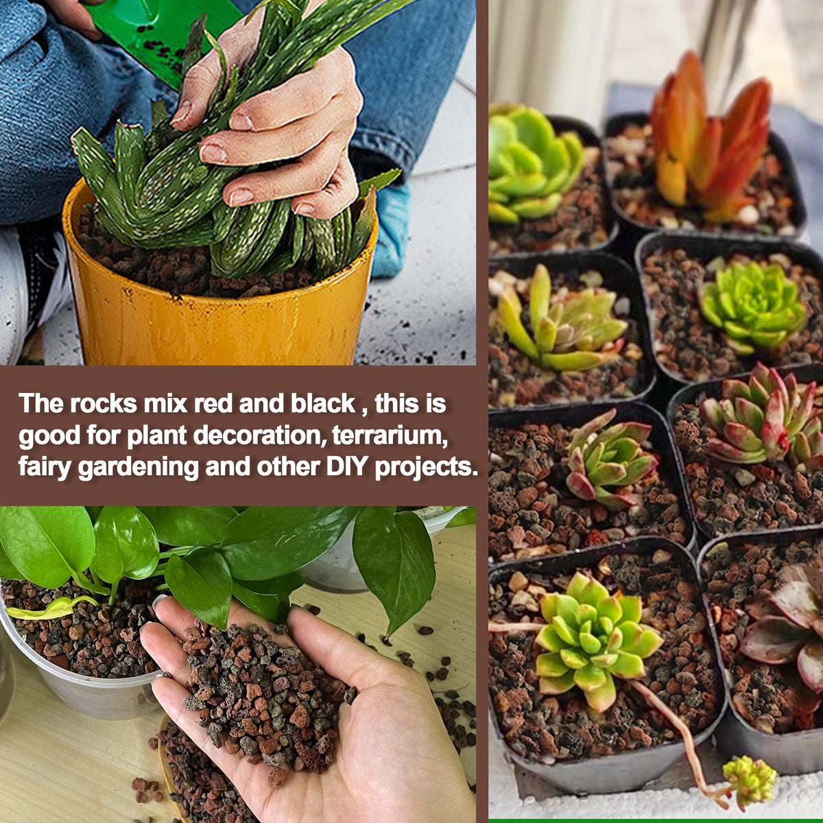 CJGQ lava rocks for succulent containers improve aeration and visual appeal