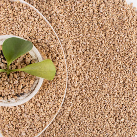 CJGQ Maifan stones balanced-soil for healthier indoor plants