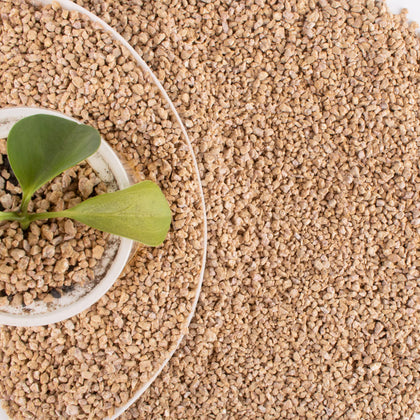 CJGQ Maifan stones balanced-soil for healthier indoor plants