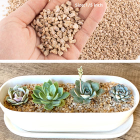 CJGQ Maifan stones fairy garden accent for texture and charm