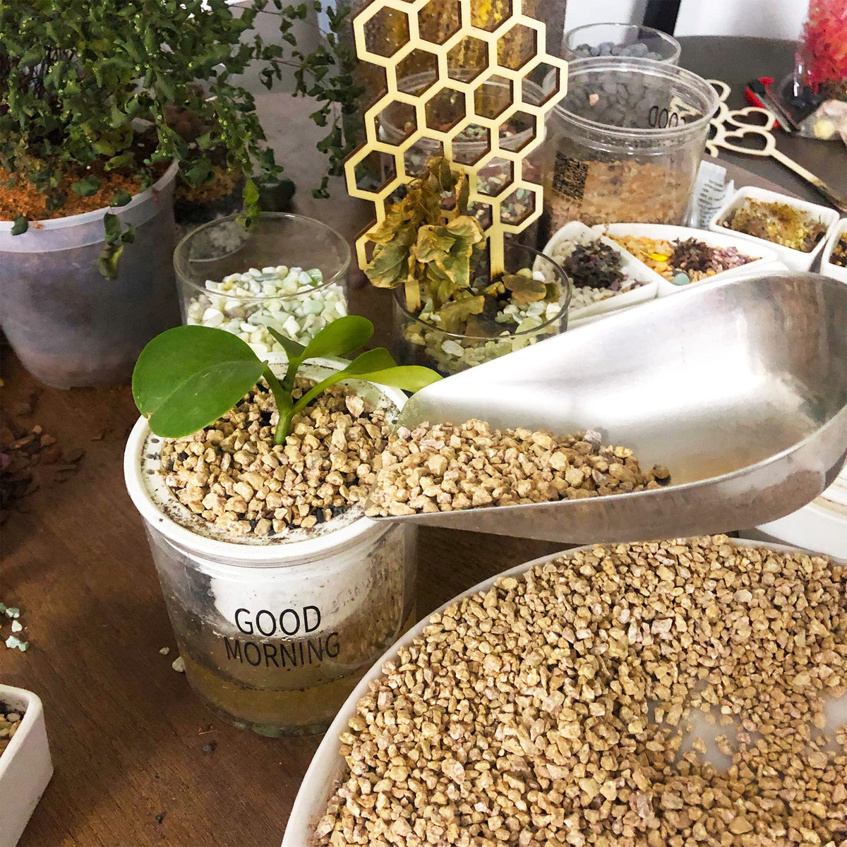 CJGQ Maifan stones potting pebbles for versatile planting