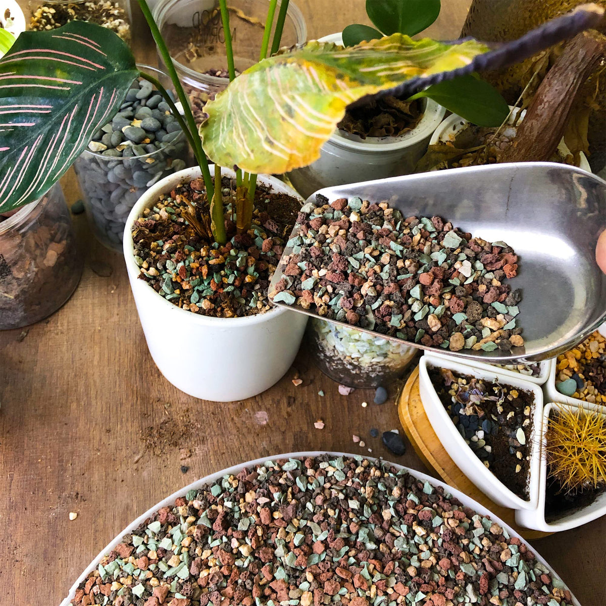 CJGQ multi-color rocks for DIY terrariums and fairy gardens.