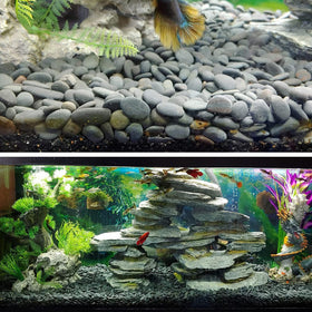 CJGQ natural non-toxic stones for succulent containers and potted plants.