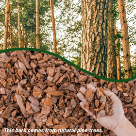 CJGQ orchid bark 1-2 inch chips promote airflow and drainage