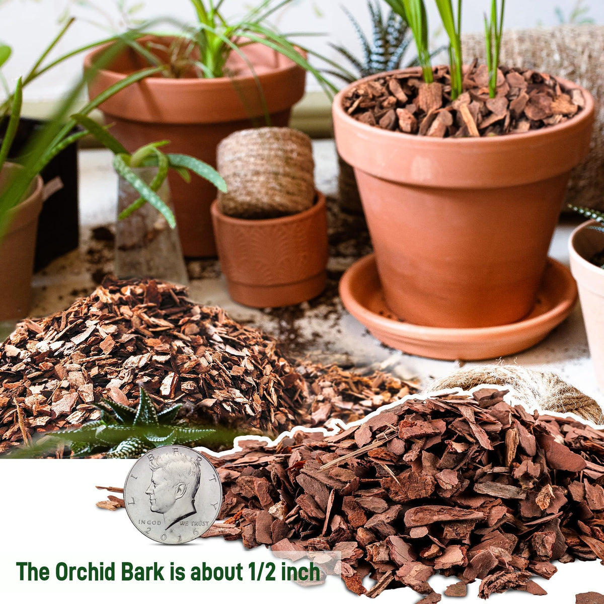 CJGQ orchid bark chip texture highlighting natural, breathable mulch for roots.