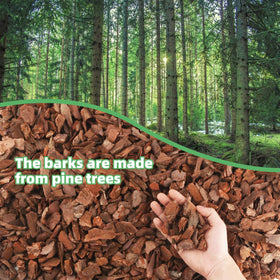 CJGQ orchid bark chips 1–2 inches promote drainage and root health.