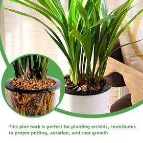 CJGQ orchid bark in pot demonstrating mulch use around roots.
