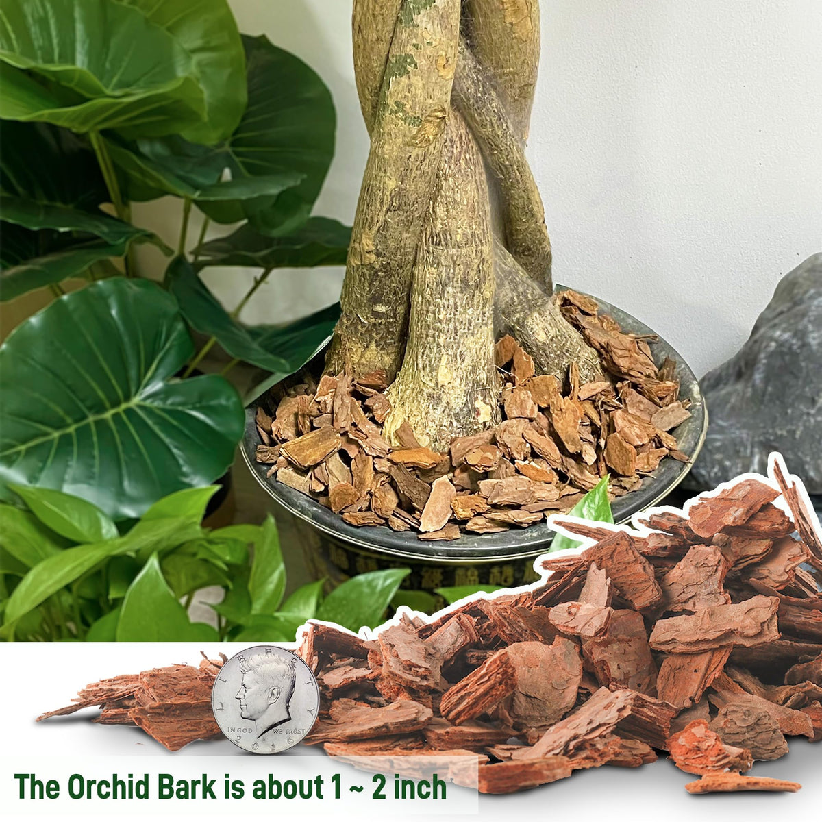 CJGQ orchid bark provides organic material for soil vitality