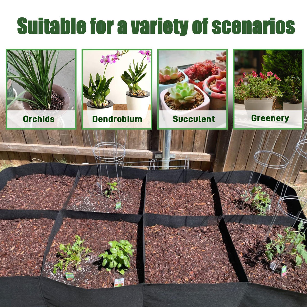 CJGQ organic mulch containing nutrients supports plant growth.