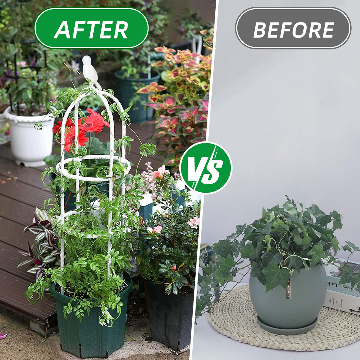 CJGQ fits indoor planters and outdoor beds, ideal for patios