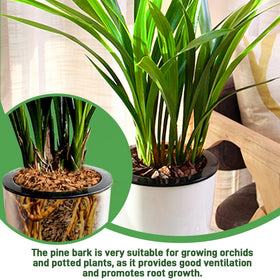 CJGQ pine bark chips sized 1-2in for air flow and drainage.