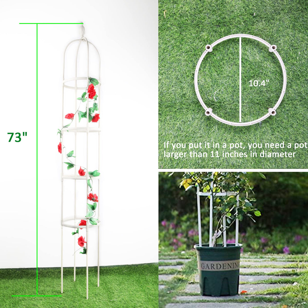 CJGQ supports ivy, roses, tomatoes, and morning glories for vertical gardening