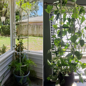 CJGQ bird-top feature adds visual interest while guiding climbing plants