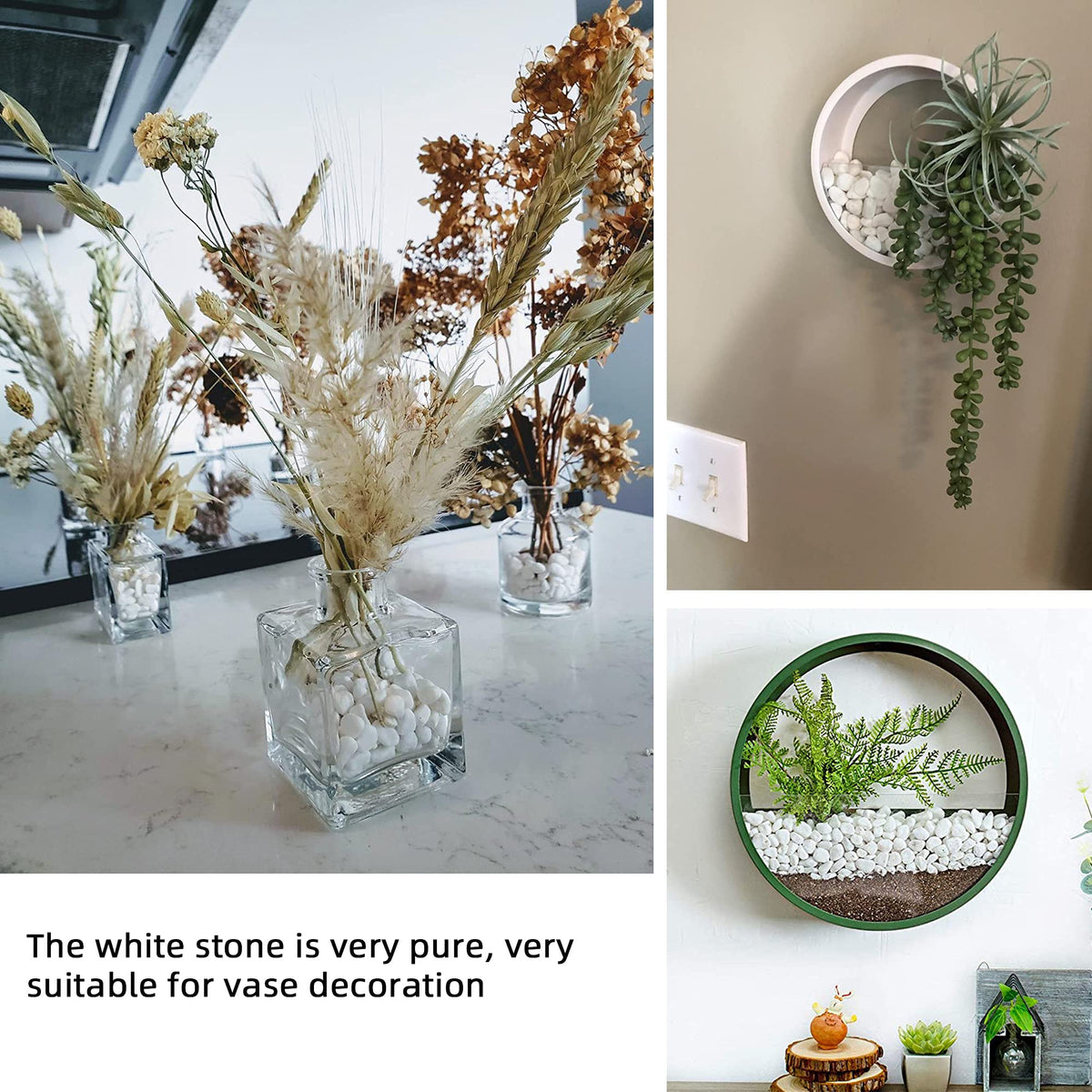 CJGQ White Pebbles for bonsai styling add a polished finish.