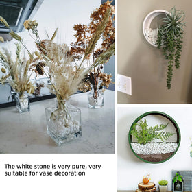 CJGQ White Pebbles for bonsai styling add a polished finish.