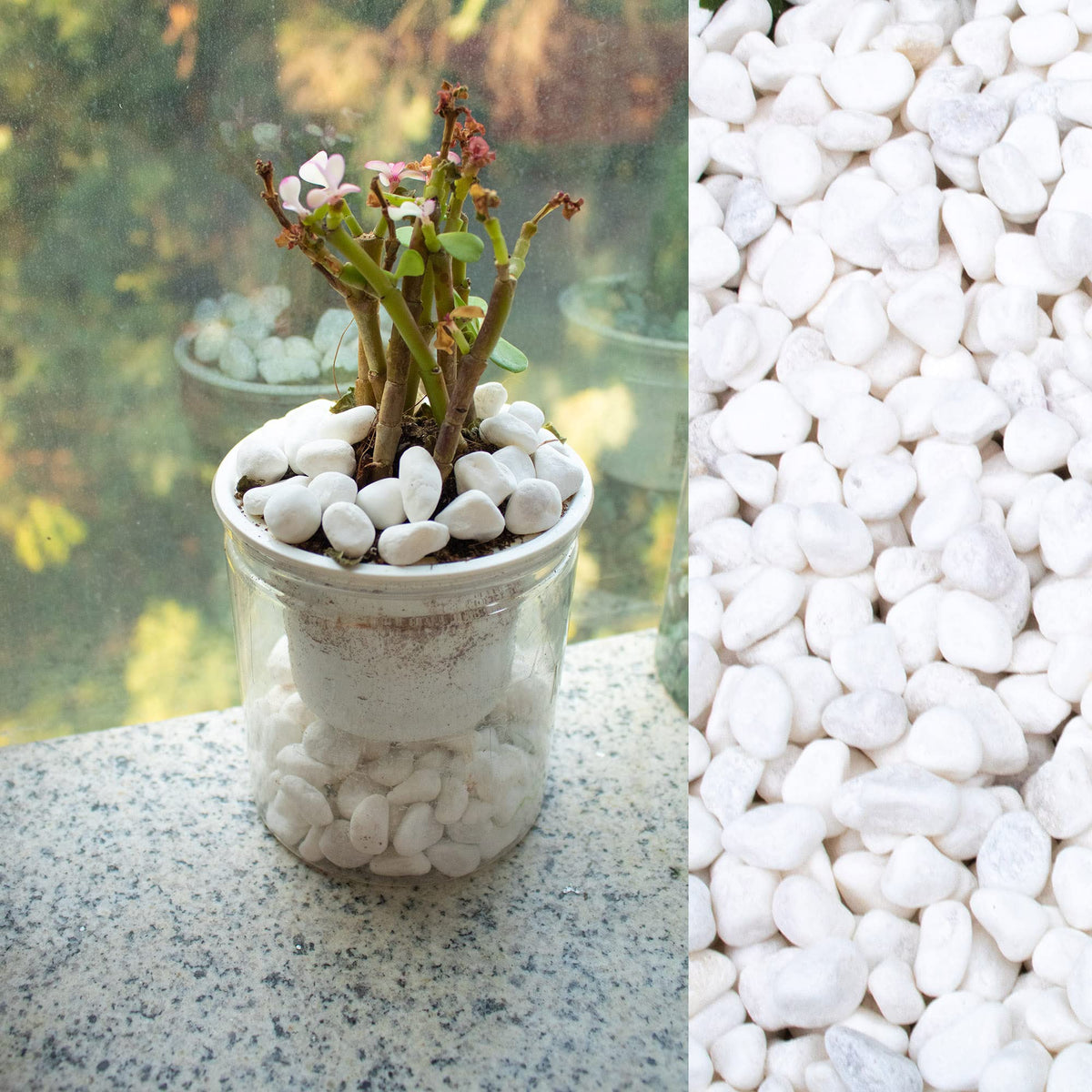 CJGQ White Pebbles for landscaping offer clean contrast and long-lasting color.