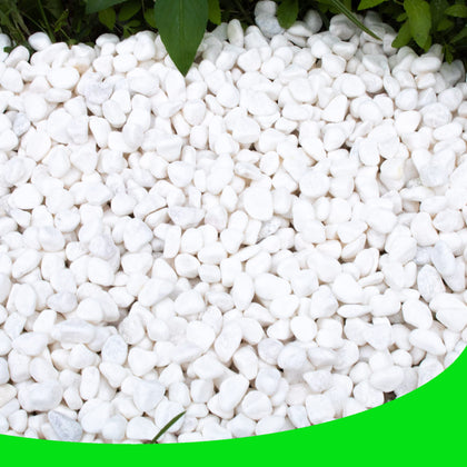 CJGQ White Pebbles in a plant container enhance display and drainage.