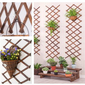 CJGQ wall-mounted trellis for room or patio display
