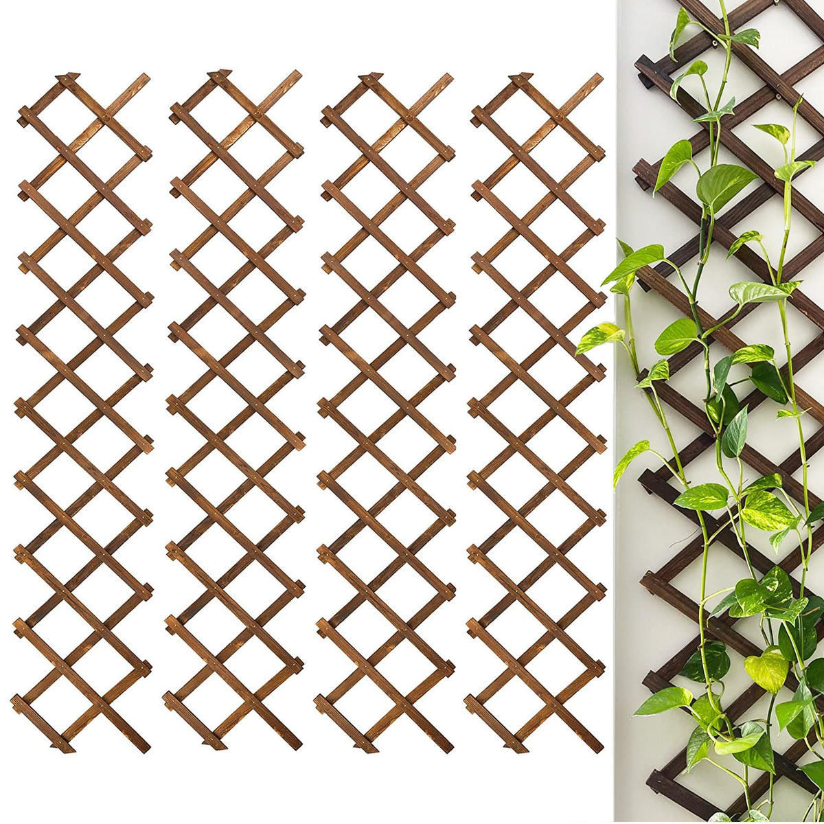 CJGQ wooden lattice wall 4Pack fully expanded trellis supports climbing plants and decor