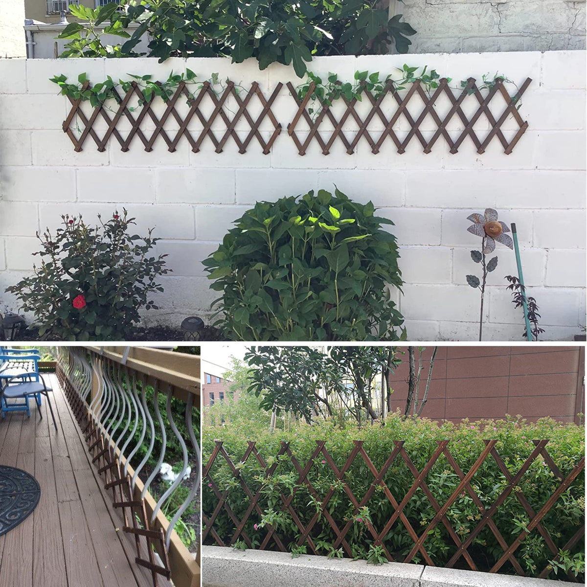 CJGQ expandable wall trellis for plant growth and aesthetic appeal