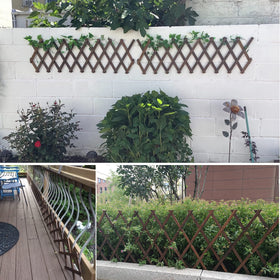 CJGQ expandable wall trellis for plant growth and aesthetic appeal