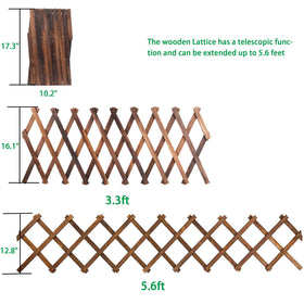 CJGQ wooden trellis doubles as garden fence and plant support