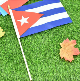 Ckexin Cuba flag shows kid-safe spear top for safe handling