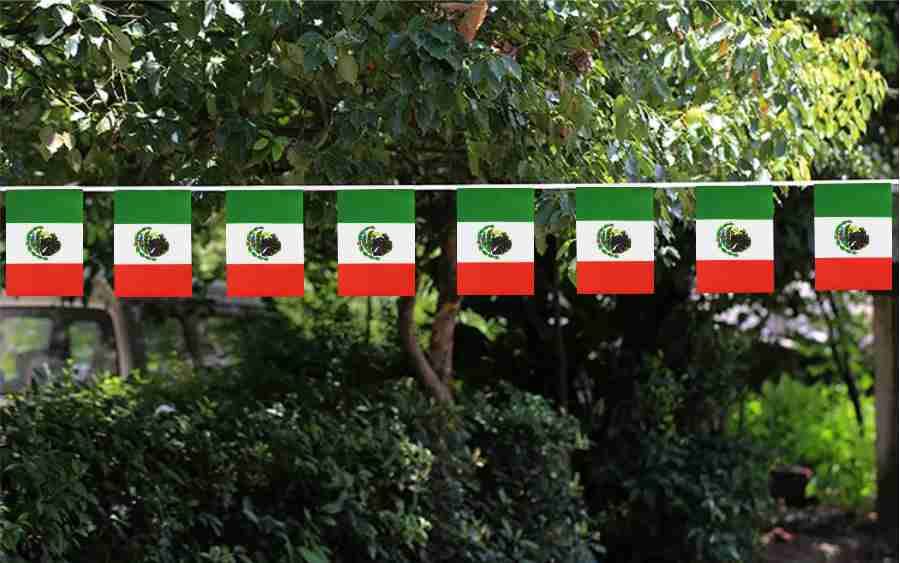 Ckexin flag banners suit large venues for Mexico-themed parties.